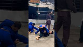 grip fight nga 😅🤣 #bjj #jujitsu #martialarts