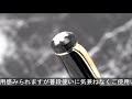 MONTBLANC モンブラン ボールペン 100周年 アニバーサリーエディション