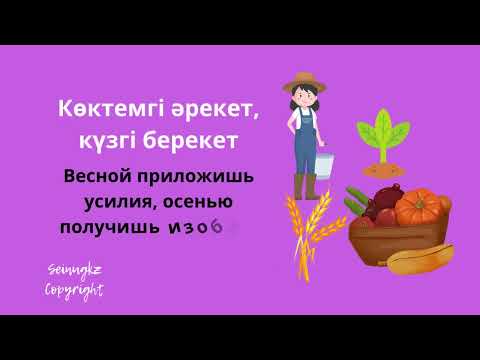 Казахские пословицы про весну на казахском с переводом на русский и разбором слов