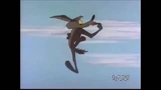 Wile E Coyote hits the FLOOR