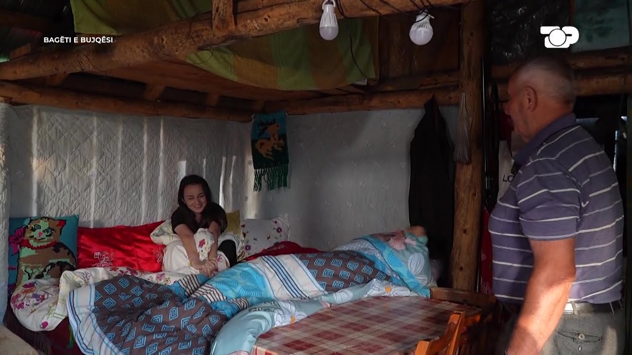 Të jetosh në stan për të mbledh boronica/ Ja kush janë familjet që braktisin qytetin për bjeshkën