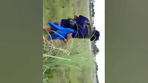 harvest tatatataling