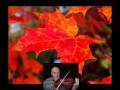 Maple leaf jig  bruce osborne playing