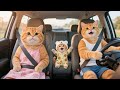 Papa Cat و Mama Cat يأخذان Ginger إلى مسقط رأسه لزيارة الجدة 🐾👵 | فيديوهات قطط مضحكة