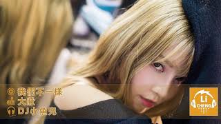 我們不一樣 - 大壯 （DJ小魚兒 Remix）