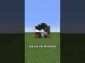Animation using Maps in Minecraft