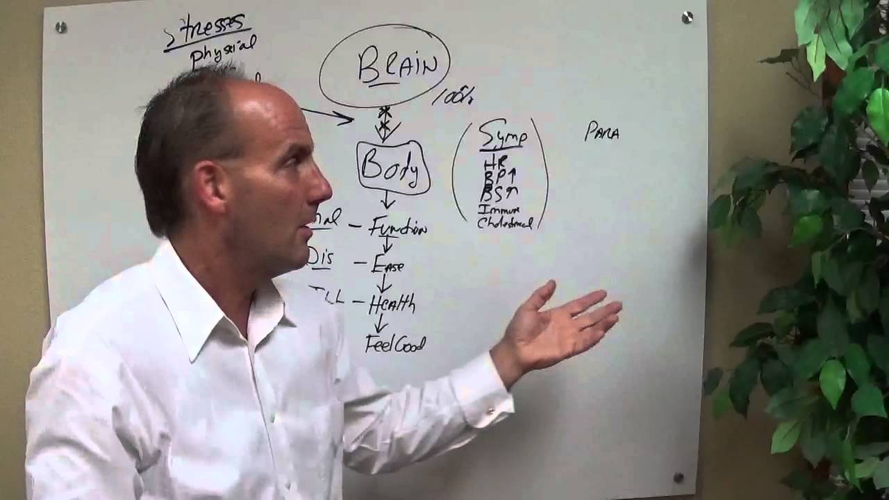 San Antonio Chiropractic Information - YouTube