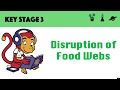 Understanding Food Webs and Bioaccumulation