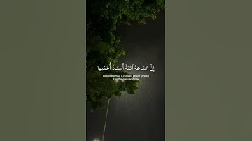 ﴿ وأنا اخترتك فأستمع لما يوحى ﴾ سوره طه، شريف مصطفى #قرآن #ارح قلبك #قران كريم