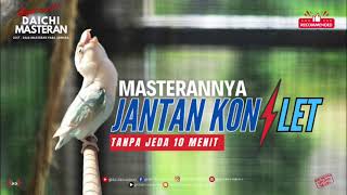 MASTERAN LOVEBIRD JANTAN KONSLET 10 MENIT TANPA SPASI BIKIN EMOSI LOVEBIRD