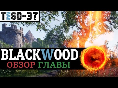 Видео: Blackwood ОБЗОР. Чёрный лес, спутники и Update 30 с кучей изменений. TESO(2021)