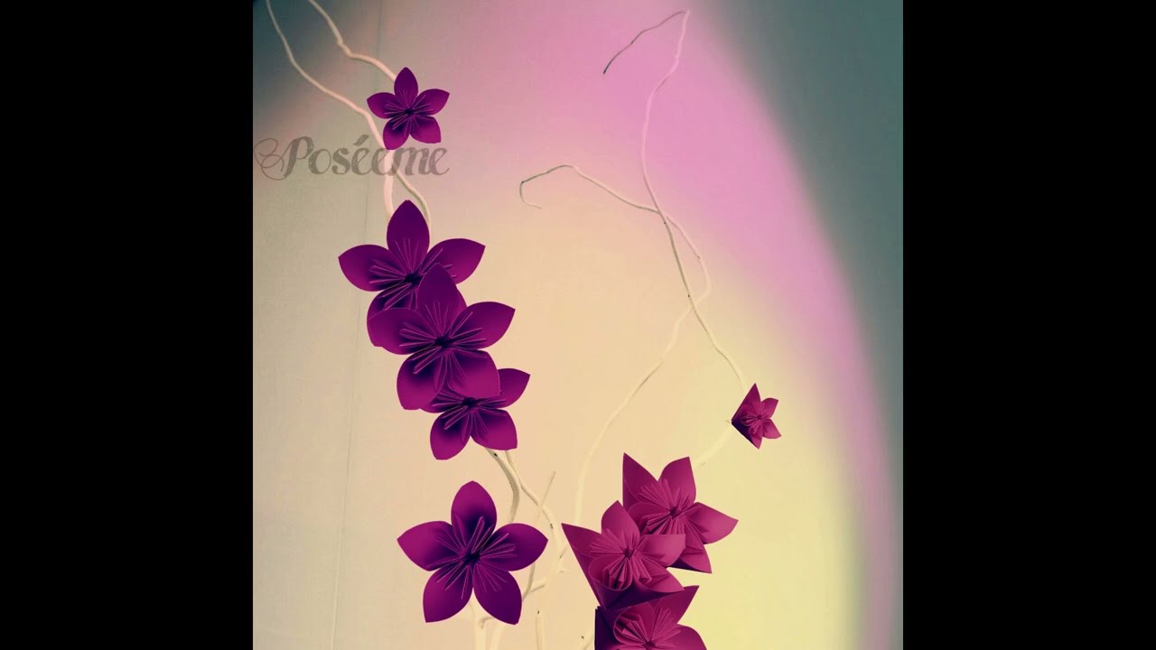 Poséeme 2 | Voz Humana | Primera Parte