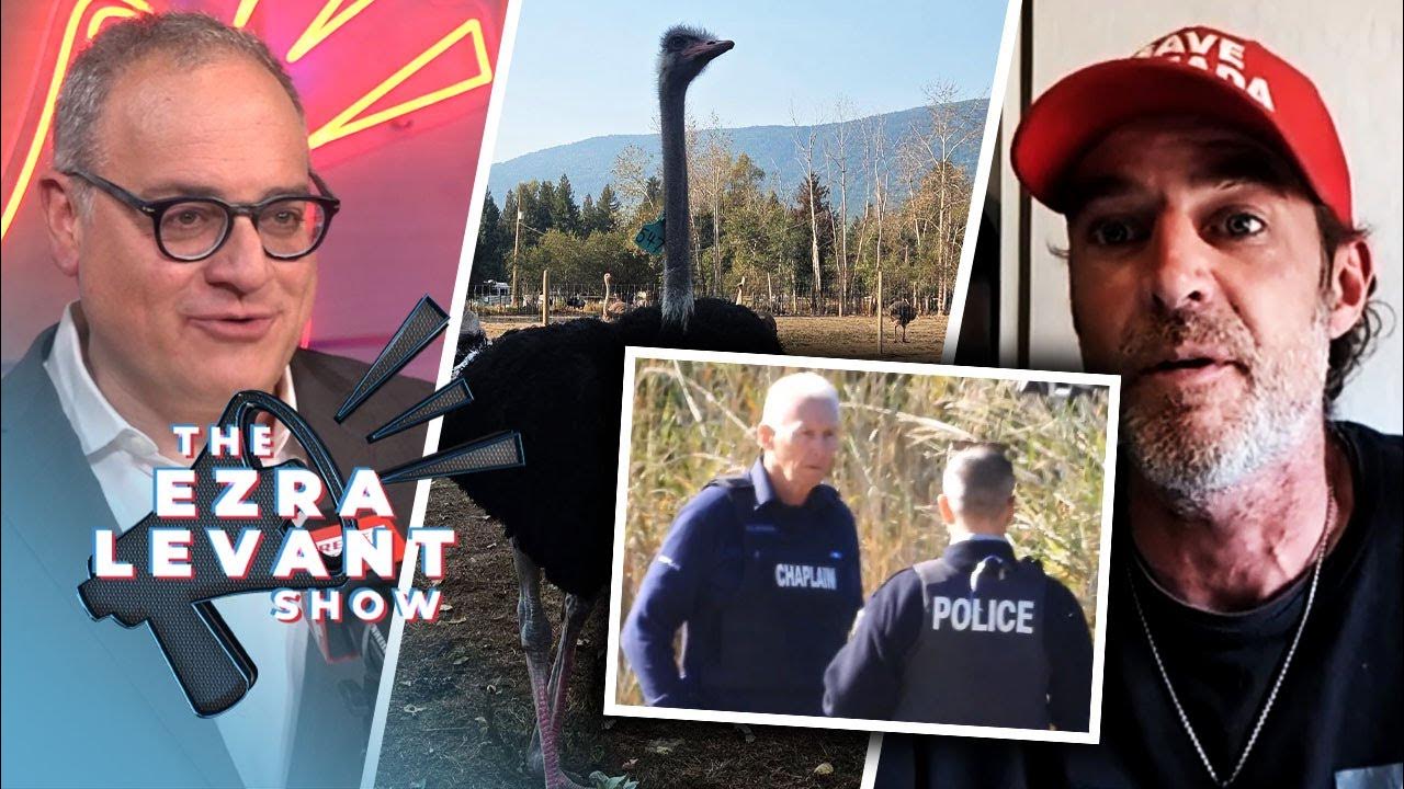 Independent journalist provides update on potential looming cull at Universal Ostrich Farms