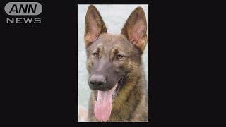 数々の事件捜査に貢献「エック号」も　警察犬慰霊祭(18/03/21)
