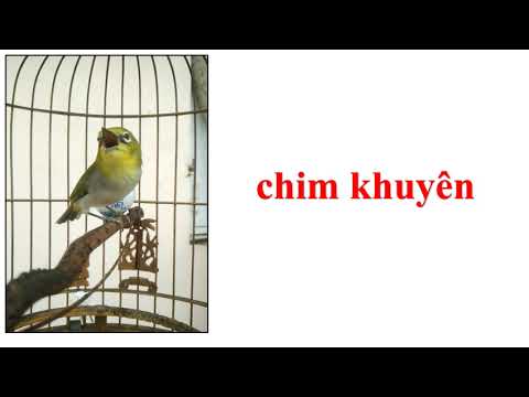 HỌC VẦN LỚP 1 - TUẦN 24 - BÀI: UÂN UYÊN (tr 36,37)