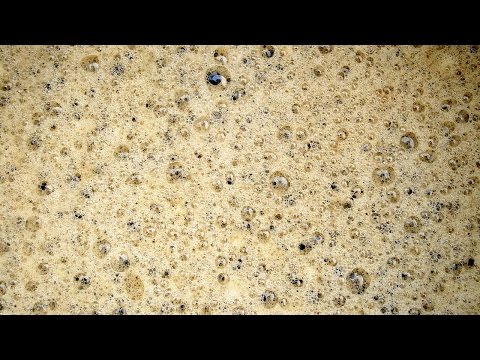 Chemistry of Beer