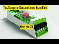 Biological Computers Are Real — And They Might Replace AI as We Know It
