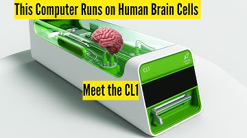 Biological Computers Are Real — And They Might Replace AI as We Know It