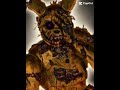 Willam Afton Edit