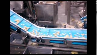 Incline Conveyor System