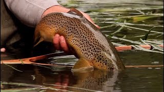 ORVIS - Advanced Nymphing Tactics - Setting Up Droppers