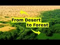 How China Is Turning the Sea of Death Into a Green Forest!
