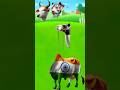 Bull #QuraniMubarak#shorts#islamicvideo#viralvideo