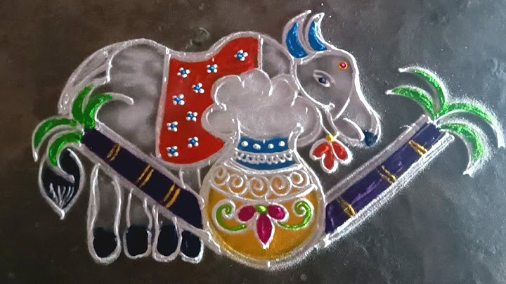 maattu Pongal special 5*3 simplemaadukolam/#simplerangoli/sangaranthicolorrangoli/gokulramyakolangal