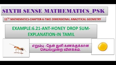 11TH MATHS  EXAMPLE 6.21 - ANT-HONEY DROP SUM-SOLUTION WITH ILLUSTRATION
