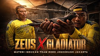 ZEUS GLADIATOR‼️ PEMILIHAN BETINA CALON PERMAISURI DJARUM TEAM RORO JONGGRANG