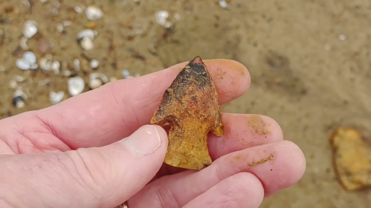 Southern Hardin - SC - Jan 4 2023