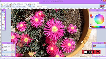 How To Crop an Image in Paint.net