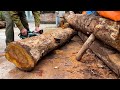 Simple Luxurious Table Model from Round Tree Trunks // Amazing Woodworking Projects