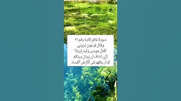 #سورة_غافر #القرآن_الكريم #قال_فرعون_ذروني_أقتل_موسى #راحة_نفسية #خالد_الجليل