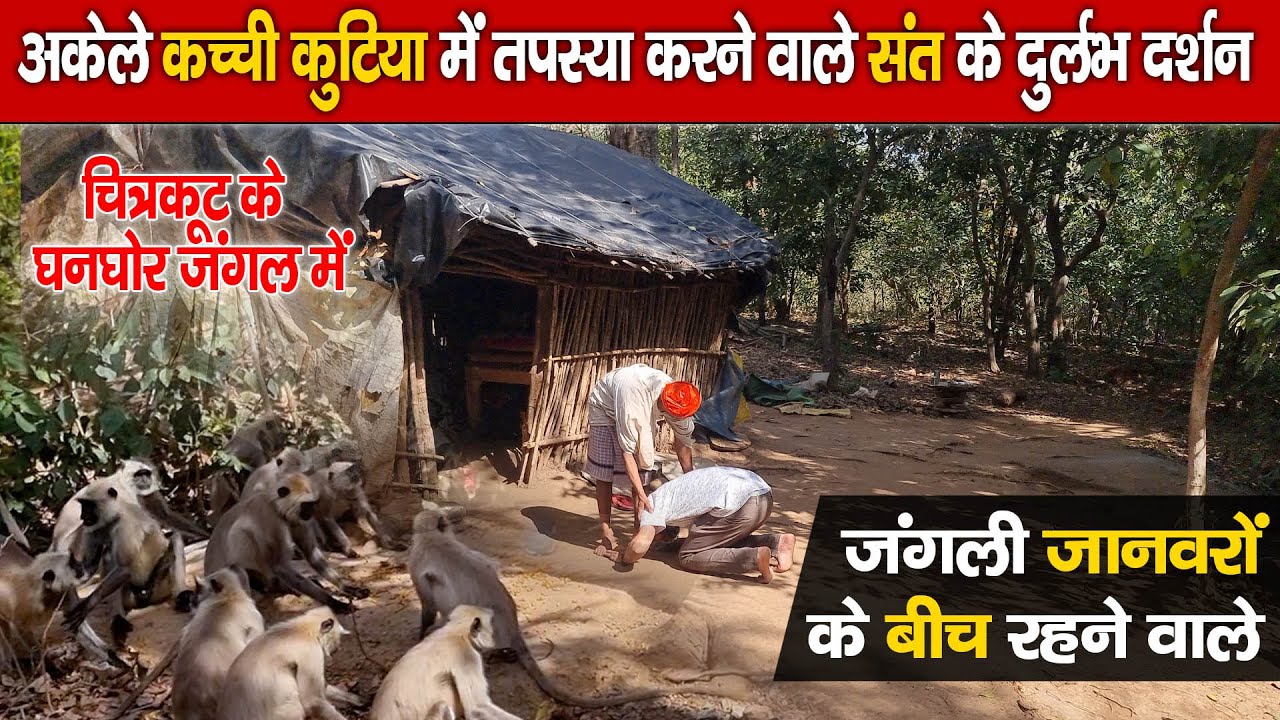 Chitrakoot के जंगली जानवरों के बीच कच्ची कुटिया में तपस्या करने वाले संत | Kchchee Kutiya Vale Sant