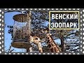 Венский зоопарк.  День 3