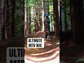 Ryder chases the Bike- Barks, Picks Lines, Matches Flow #mtb #shorts #traildog