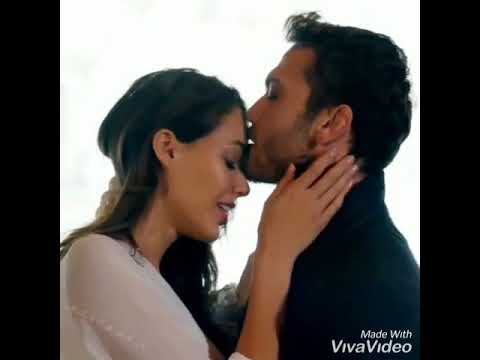 لولا الهوا لم تركت معن علي طلبن