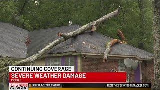 Severe weather causes damage in Mobile's Princeton Woods neighborhood