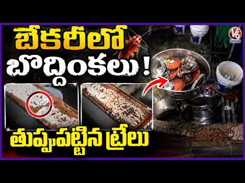 Food Safety Officials Raids On Brown Bear Bakery In Kukatpally  Hyderabad  V6 News - V6NEWSTELUGU