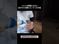 【天井裏から保護した子猫達】ミルクに呼ばれて、自分でお膝に入ってくる賢い子猫♪