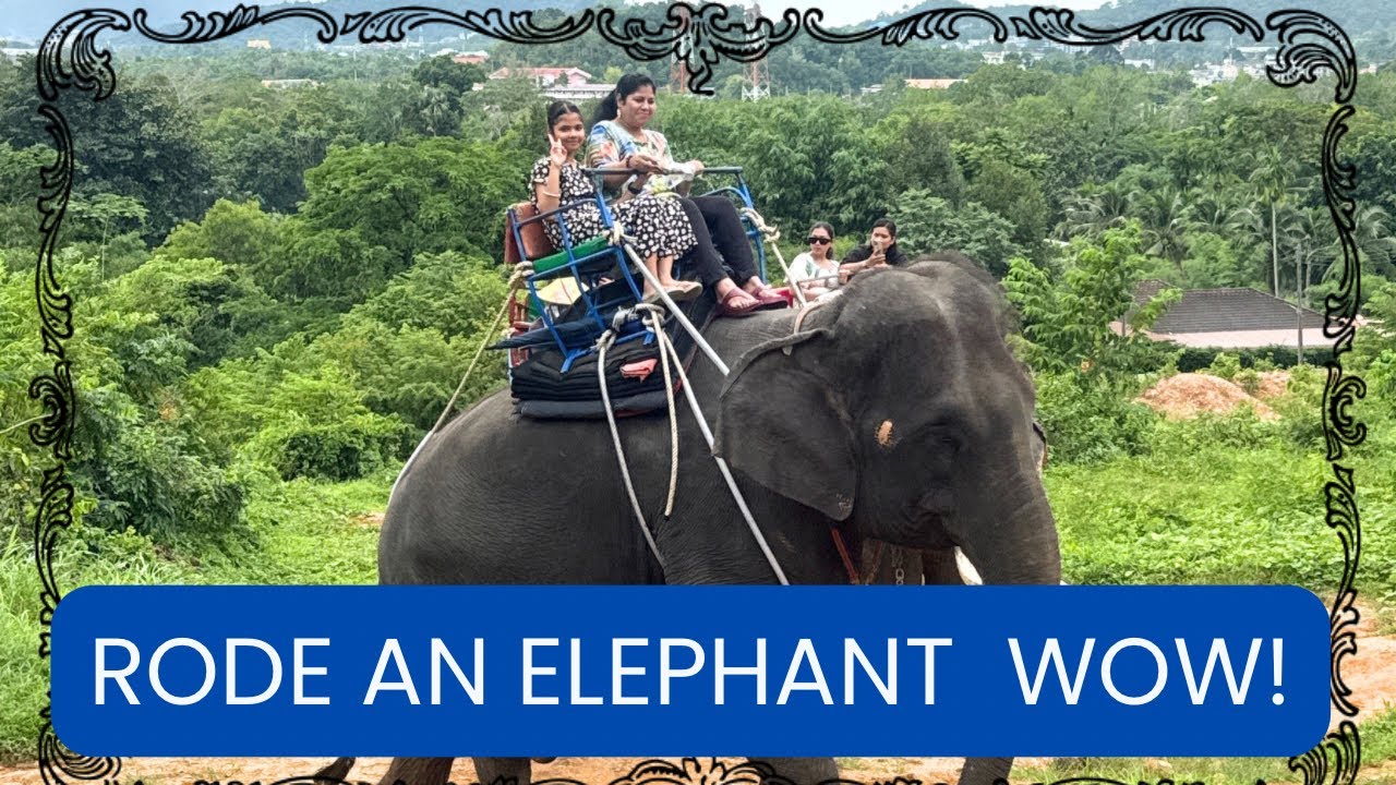 Unexpected Moments During My First Elephant Safari in Phuket 