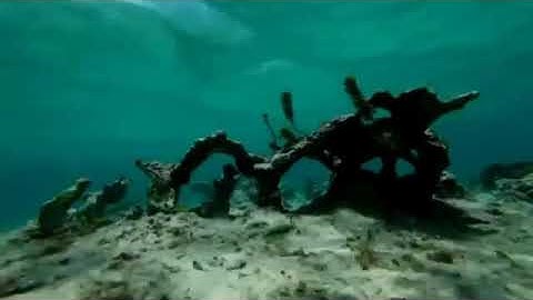 سورة الحجر ( كاملة ) اسلام صبحي مع مناضر طبيعة