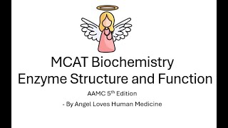 Enzyme Structure and Function MCAT Biochemistry #biochemistry