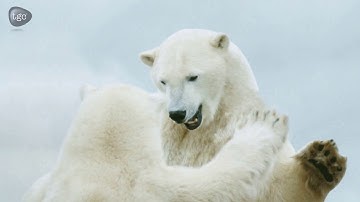 2.5 D Effect in After Effects