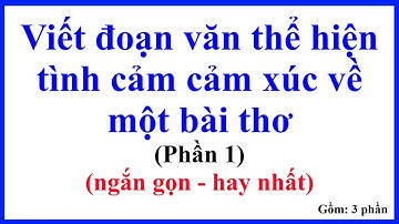 Viết đoạn văn thể hiện tình cảm cảm xúc về một bài thơ - Phần 1