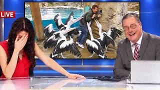 Live News Bloopers When Animals Took Over The Broadcast | Live TV Fails