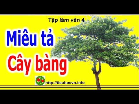 Video Tả cây bàng trường em | Tập làm văn 4 Tuần 27 Miêu tả... - youtube