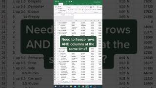 Freeze Columns and Rows at the Same Time |#excel #excelformulas #exceltips