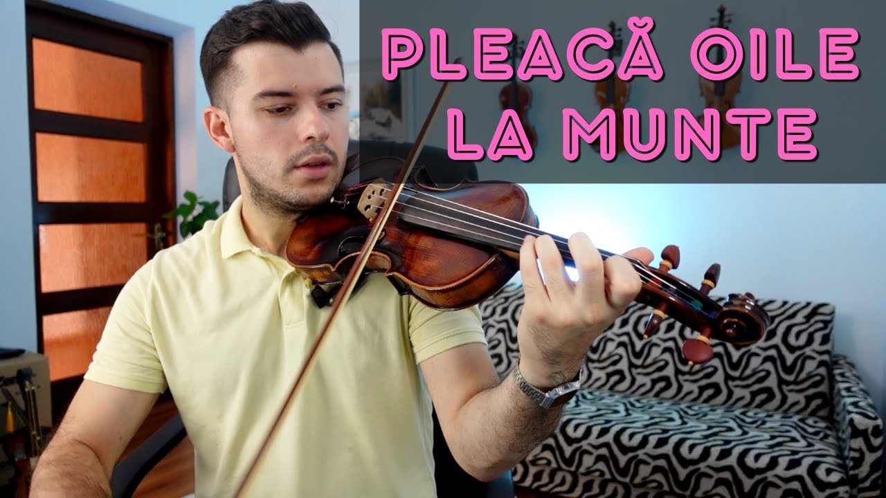 PLEACA OILE LA MUNTE